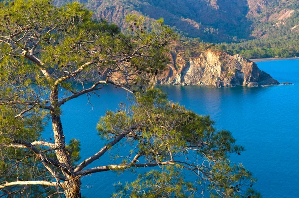 La playa hermosa en la Crimea — Foto de Stock