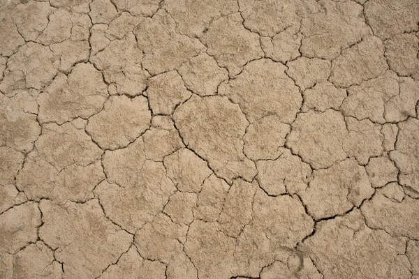 Schrale grond — Stockfoto