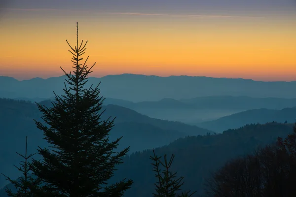 Sonnenuntergang in den Karpaten — Stockfoto