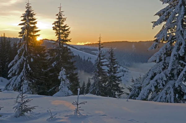 穏やかな冬の朝 — ストック写真