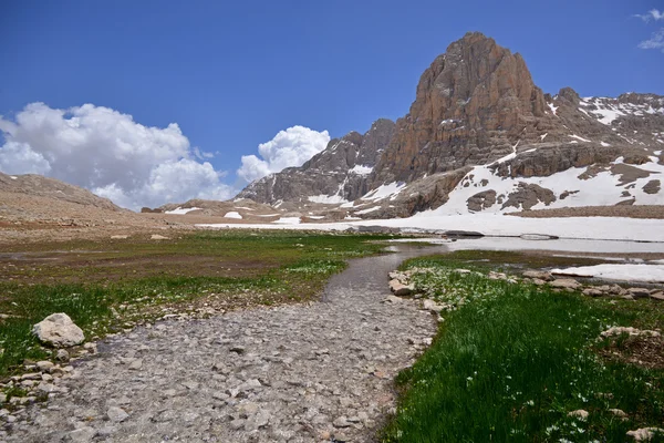 春天在高山 — 图库照片