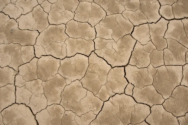 çatlamış toprak