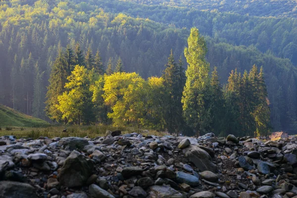 Outono começando nas montanhas dos Cárpatos — Fotografia de Stock