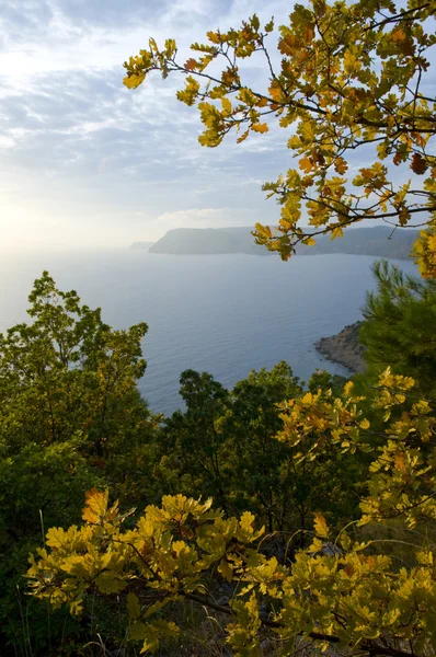 Yelllow δέντρα και η θάλασσα — Φωτογραφία Αρχείου