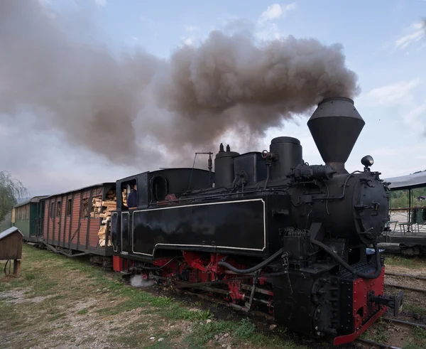 Locomotiva a lenha funcional Imagens De Bancos De Imagens