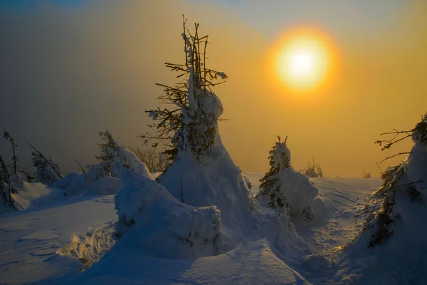 De avondzon in winter bergen — Stockfoto