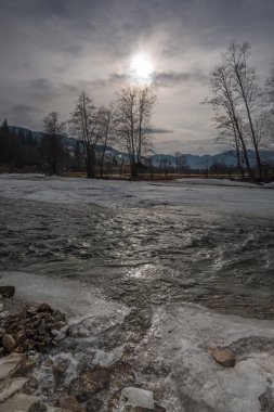 gri kış günü Nehri yakınında