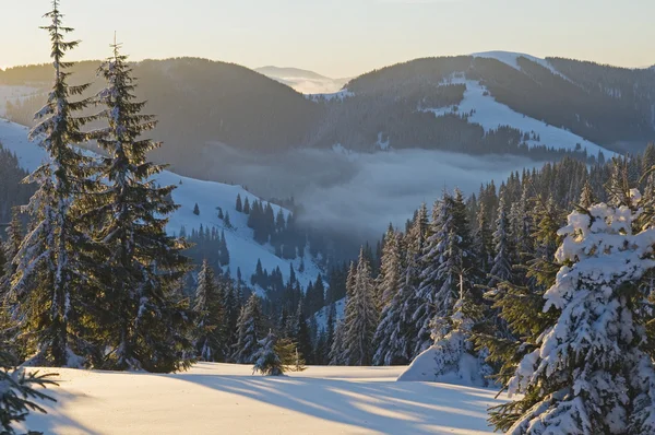 早晨的景象在冬季山 — 图库照片