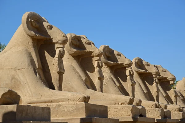 Avenue of sphinxes - Luxor — Stock Photo, Image