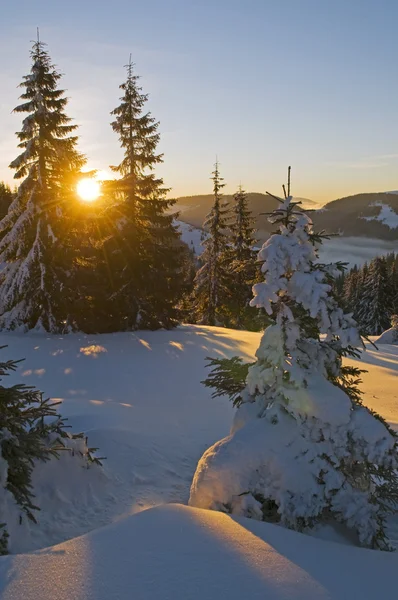 早晨的太阳，在雪山 — 图库照片