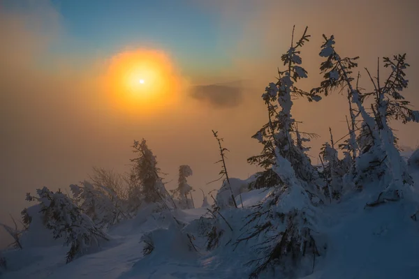 冬の山で太陽と風光明媚です — ストック写真