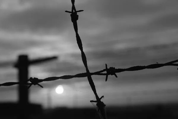 Gamla barb wire staket — Stockfoto