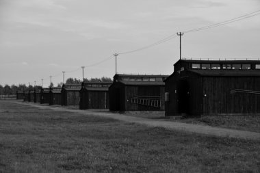Majdanek toplama kampı - ahşap barakalar