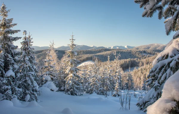 Belas montanhas de inverno — Fotografia de Stock