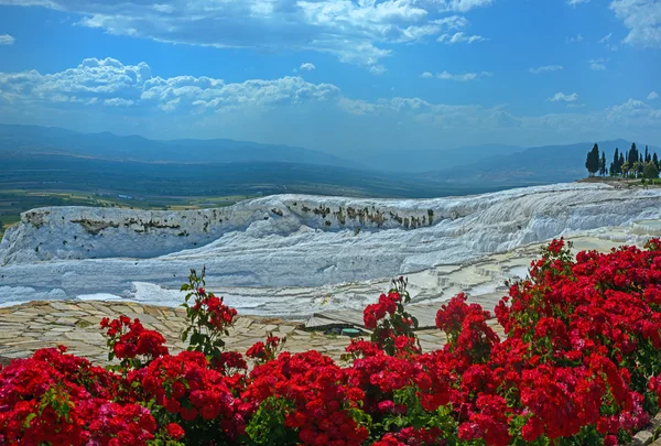 Vista su Pamukkale con fiori rossi in primo piano — Foto Stock