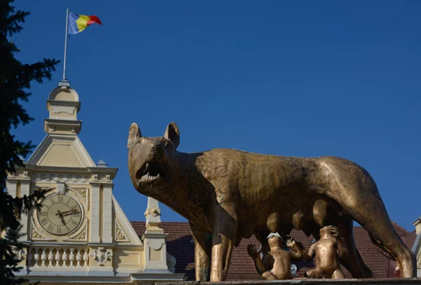 Feeding she-wolf monument in Brasov — Stock Photo, Image