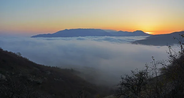 Valley covered with mist — Stock Photo, Image