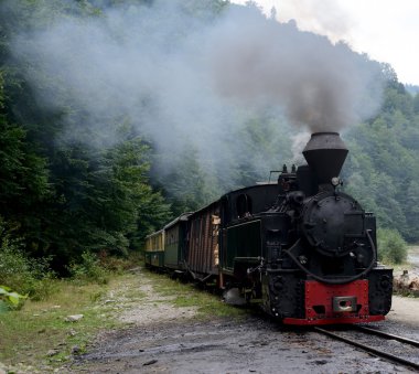 Orman arka plan karşı eski tren