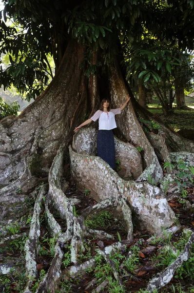 Donna vicino all'albero tropicale gigante — Foto Stock