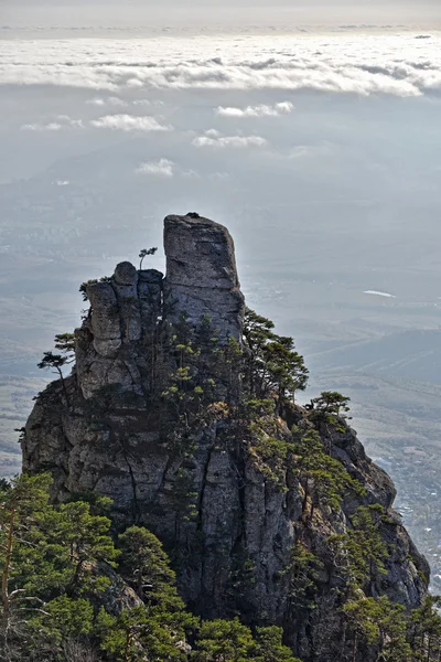 Rochers pittoresques couverts d'arbres — Photo