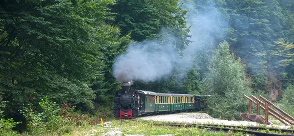 Çalışan ahşap yakma lokomotif 