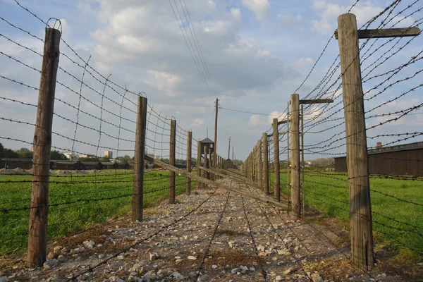 Majdanek toplama kampı Barb-tel çit 