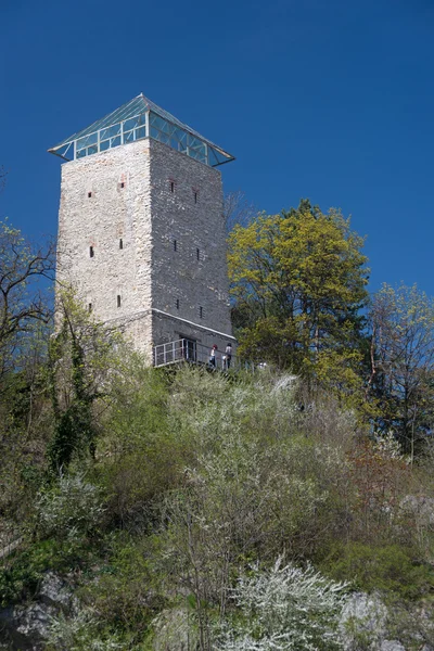 Brasov - věž na kopci květ — Stock fotografie