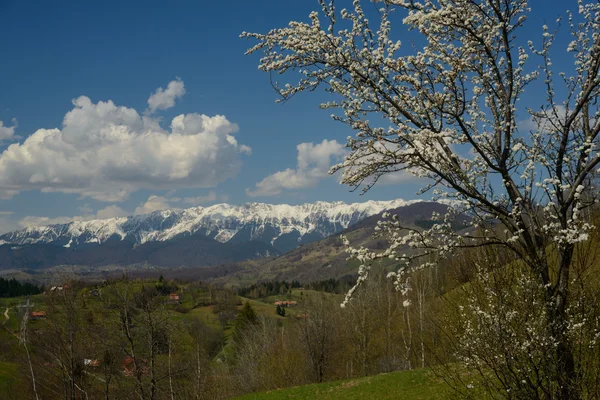 Paisaje de primavera con montañas —  Fotos de Stock