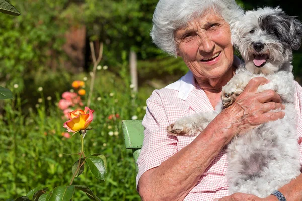 Happy Smiling Senior Woman Abrazando Perro Havanese Aire Libre Naturaleza — Foto de Stock