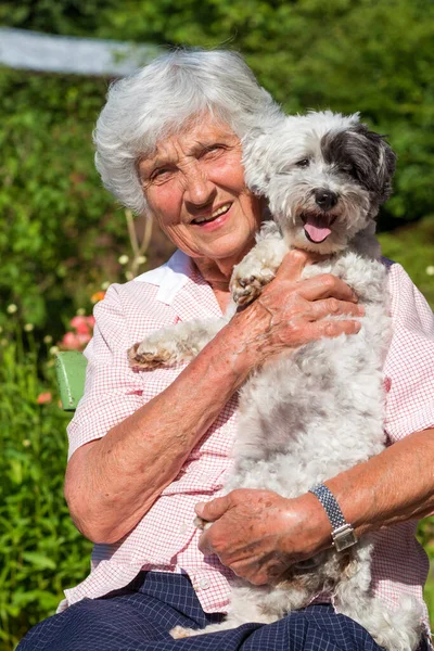 Boldog Mosolygós Senior Woman Ölelés Neki Havanese Dog Outdoor Természetben — Stock Fotó