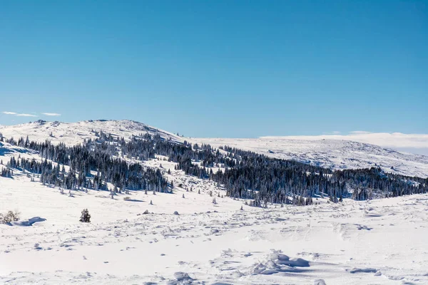 Bela Paisagem Montanha Inverno Bulgária Vitosha Mountain — Fotografia de Stock