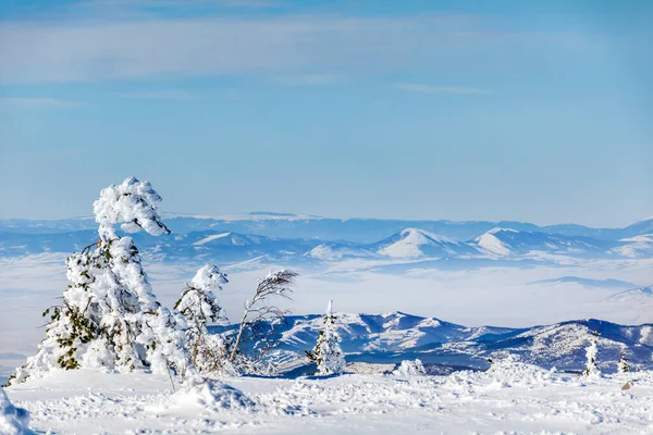 Bela Paisagem Montanha Inverno Bulgária Vitosha Mountain — Fotografia de Stock
