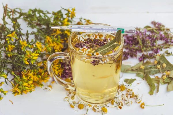 Cup Healthy Herbal Tea Dried Chamomile Flowers Thyme Thermometer Pills — Stock Photo, Image