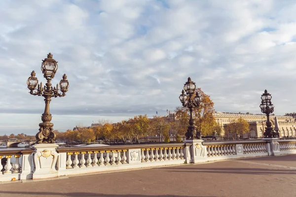 Paris Frankrike November 2019 Utsikt Över Berömda Bron Pont Alexandre — Stockfoto