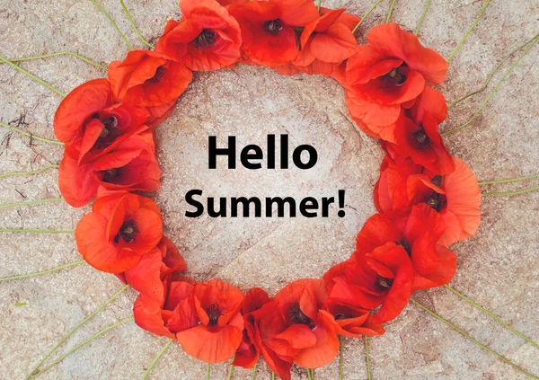 Hello Summer Message Red Poppy Flowers Frame — 스톡 사진