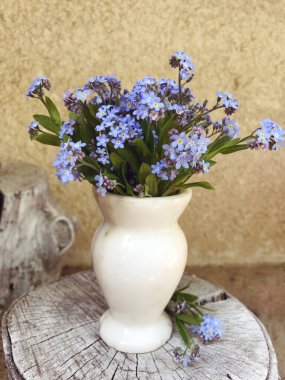 Küçük beyaz mermer bir vazoda Güzel Vahşi Bahar Mavi Çiçekleri 