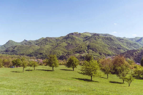 Beautiful Summer Mountain Landscape Green Meadows Trees Hills Babintsi Village — Stok fotoğraf