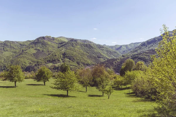 Beautiful Summer Mountain Landscape Green Meadows Trees Hills Babintsi Village — Stok fotoğraf