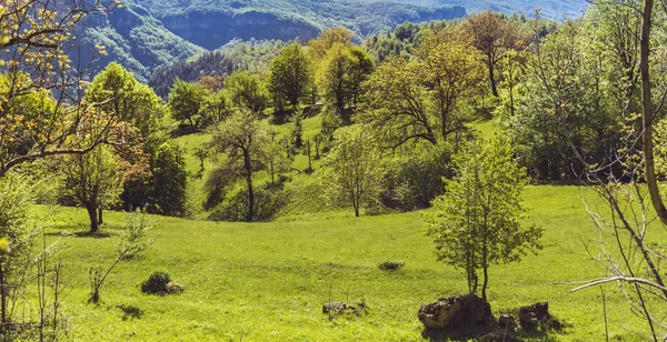 Beautiful Summer Mountain Landscape Green Meadows Hills Babintsi Village Teteven — Zdjęcie stockowe