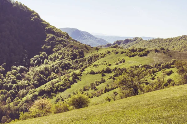 Beautiful Summer Mountain Landscape Green Meadows Hills Babintsi Village Teteven — Zdjęcie stockowe