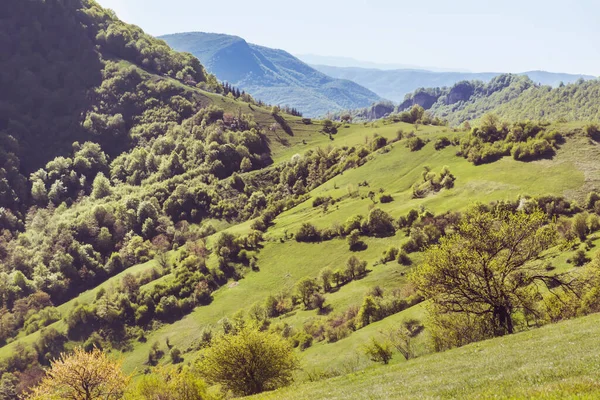 Прекрасний Літній Гірський Краєвид Зеленими Луками Пагорбами — стокове фото