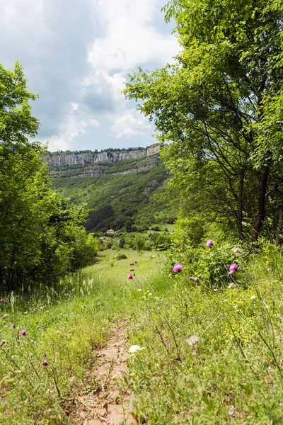 Чудовий Літній Краєвид Гори Бов Балканській Горі — стокове фото