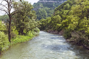 Bov Village, Balkan Dağları, Iskar Gorge yakınlarındaki Nehirle Güzel Yaz Dağı Manzarası