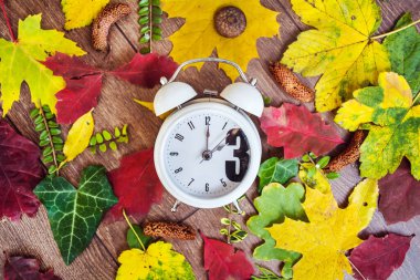Sonbahar Zamanı - Gün Işığı Tasarruf Sonu - Kış Saati 'ne Dönüş Tahta Arkaplanda Sonbahar Yaprakları ve Vintage Saat