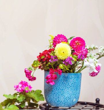 Mavi vazoda Güzel Dahlia Çiçekleri