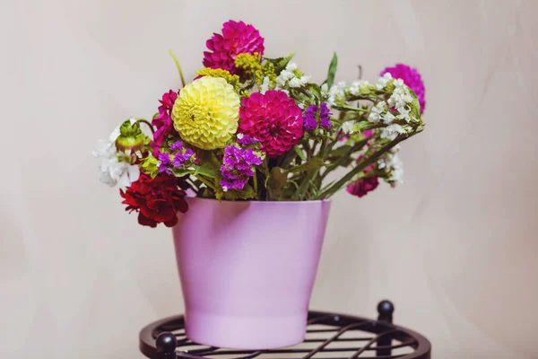 Mavi Vazoda Güzel Dahlia Çiçekleri — Stok fotoğraf