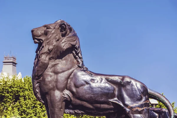 Estátua Leão Cabeça Fundo Azul Céu — Fotografia de Stock