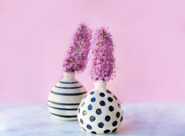 Pembe Arkaplanda Siyah Noktalı Küçük Beyaz Vazodaki Güzel Pembe Çiçekler. Ev Dekorasyonu