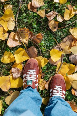 MILAN, ITALY - 24 Ağustos 2025: Kahverengi Adidas Samba Sonbahar yaprakları üzerinde spor ayakkabıları 