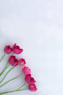 Açık dikey arkaplanda pembe laleler.